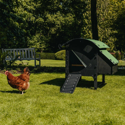 Nestera Small Lodge Chicken Coop for up to 3 Large Birds