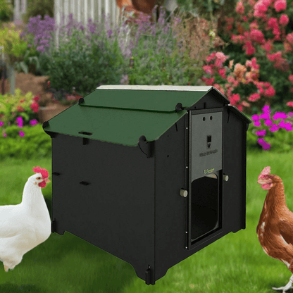 Easicoop Eco HPL chicken coop 6 birds (Black)