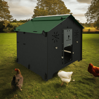 Easicoop Chalet L - HPL Chicken coop up to 10 large Birds (Black)